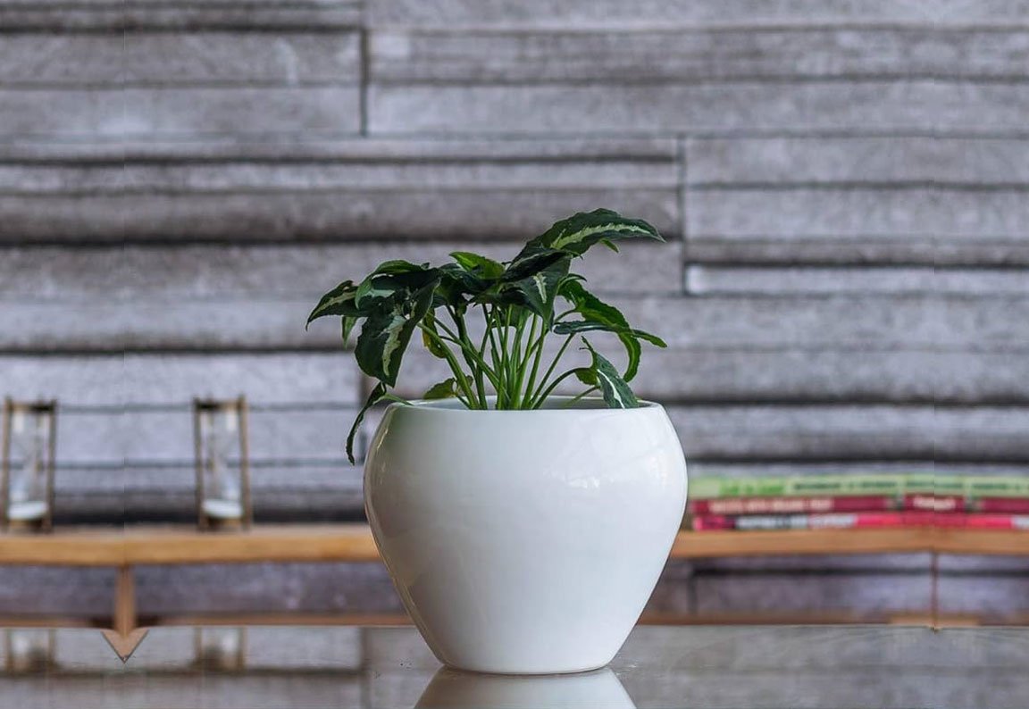 Apple Pot – Elegant & Durable Planters by Elite Plastocrafts